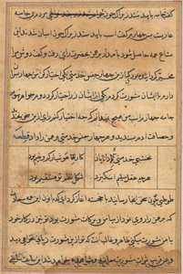 鹦鹉的图蒂名字故事，c。 1560。 作者 不明