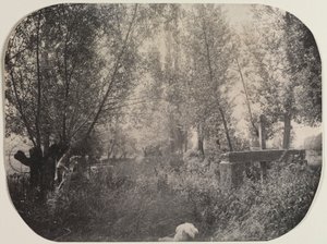 与狗无标题的风景c。 1910年。 作者 不明