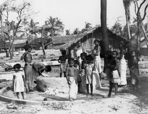 锡兰的亭可马里乡村场景，1945年 作者 不明