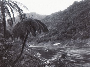旺加努伊河，19世纪末-20世纪初。 作者 不明