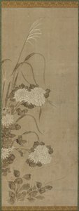 白菊花和草，江户时期，1615-1868。 作者 不明