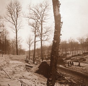 冬季，法国北部Genicourt，c1914-c1918 作者 不明