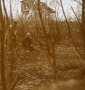 木材，c1914-c1918 作者 不明