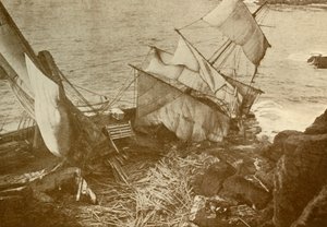 于1930年在蜥蜴船上遇难。 作者 不明