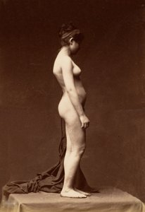 [年轻女子，裸体，轮廓完整]，1860年代。 作者 不明
