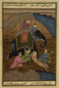 皇帝阿克巴（1556-1608）在老虎的追捕中，来自莫卧儿王朝的Akbarnama，（插图文字） 作者 未知未知