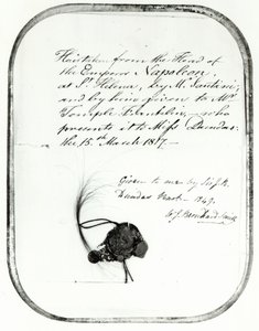 由Giovanni Natale Santini从拿破仑皇帝头上剪下的头发，由他送给William Temple Franklin，1816年（头发） 作者 未知未知