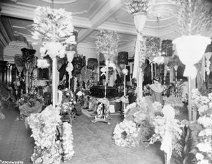 女王Liliuokalani的棺材在1917年檀香山Iolani宫的王座室 作者 未知未知