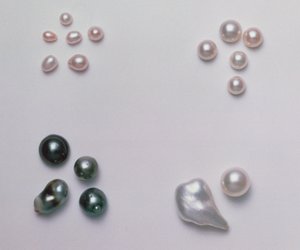 选择不同形状的养殖珍珠（见122674） 作者 未知未知