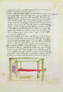 编织丝绸来自Precetti dellArte Della Seta（丝绸公会规则） 作者 未知未知