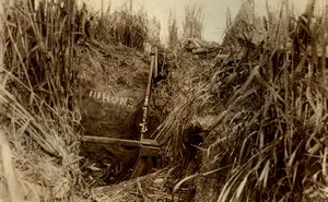 英国狙击手在玉米地里的巢穴，显示他们杀死的敌人的总数 作者 不明