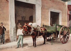 哈瓦那的一辆骡子车，由-个小贩带领（照片）。 作者 不明