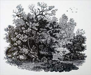 一个渔夫 作者 不明