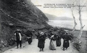 阿尔巴尼亚。吉普赛妇女背着木质包袱 - 明信片 1914-1918年 作者 未知艺术家