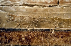 古埃及：Saqqarah（或 Saqqara 或 Sakkarah）：Ti（第五王朝时期的官员）的坟墓。细部描绘河马。