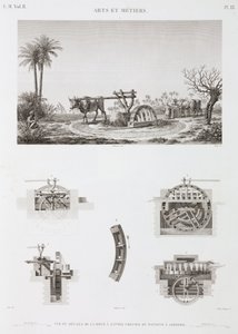 动物动力 动物动力灌溉，埃及，约 1798 年 作者 不明