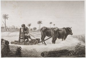 耕作，收割 打谷机，埃及，约1798年 作者 不明