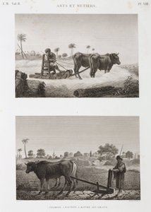 耕地、犁地 脱粒机和犁，埃及，约 1798 年 作者 不明