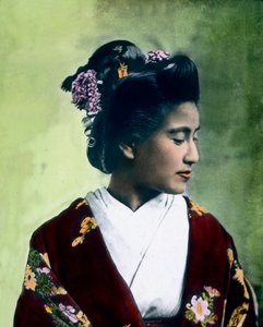 贵族 作者 未知艺术家