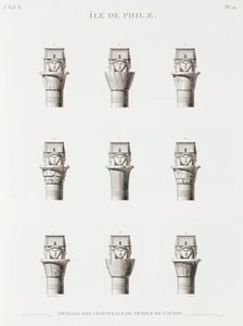 书：埃及描述 作者 不明