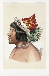 南美洲博罗罗酋长，约 1843-1847 年 作者 不明