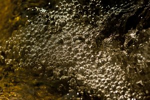 气泡（照片） 作者 未知艺术家