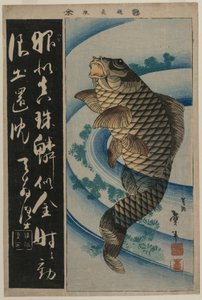 鲤鱼和水草c。 1830年代初（彩色木刻版画） 作者 不明