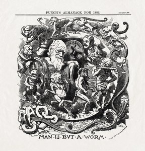 查尔斯-达尔文（1809-1882 年）关于进化论的漫画："人类不过是一条蠕虫》（Man is but a worm），选自 "Punch" 06/12/1881 作者 未知艺术家