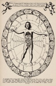 微观世界与宏观世界的对应。摘自阿塔纳斯-基切（1601-1680 年）《地下世界》的插图 作者 Unbekannter Künstler
