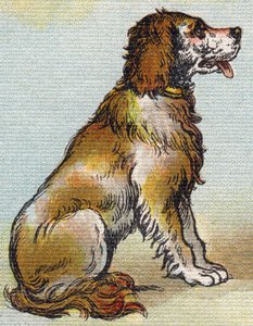 狗。 雕刻“Alphabet de ma petite fille”。 Bernardin-Bechet 和 Fils，书商出版商，巴黎，约 1895 年。坚不可摧的画布专辑。 贝贝斯图书馆。 12 页。 包含阅读方法和说明性初学者的专辑。 昏暗：29,5 作者 不明