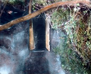那不勒斯附近的狗洞--狗被二氧化碳呛死，人却活了下来 作者 未知艺术家