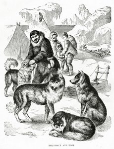 爱斯基摩人和狗。1902年（石印 作者 不明
