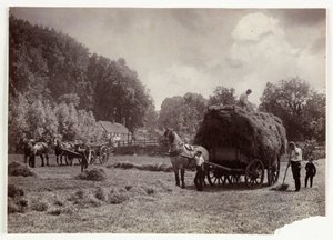 耕作场景，收割和储存，1900年前的干草制作，约1890年 作者 不明