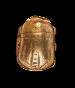 金甲虫 作者 不明