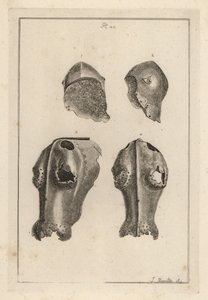 Helmet 1,2, and iron chanfron or chafron 3,4 that belonged to Guy, Earl of Warwick 作者 不明