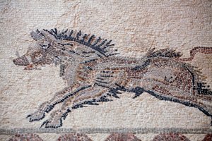 狩猎场面。一只野猪--帕福斯马赛克，狄奥尼索斯之家--公元2世纪末--塞浦路斯--狩猎场景。运动中的野猪--帕福斯马赛克，狄奥尼索斯之家--公元2世纪末--塞浦路斯联合国教科文组织遗址 作者 未知艺术家