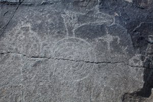 印第安人岩画--动物和象征性代表--岩画国家纪念馆--美国新墨西哥州阿尔布开克市（美国）。 作者 未知艺术家