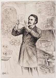 James Cossar Ewart，动物学家 作者 不明