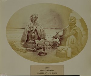 Jogis 或 Snake Charmers，来自德里的低种姓印度教徒，没有。 205 来自