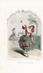 La fee de la fleur de grenade danse - Charles Geoffroy（1819-1882 年）根据 Jean Ignace Isidore Gerard dit J.J.J.Granville（1803-1847 年）为 Les fleurs animees 创作的插图绘制的蚀刻版画 作者 未知艺术家