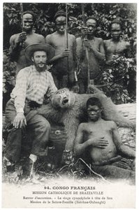 狮头猴，约 1910 年（石版画） 作者 不明
