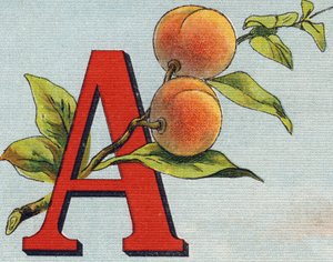 字母A：杏。 雕刻“Alphabet de ma petite fille”。 Bernardin-Bechet 和 Fils，书商出版商，巴黎，约 1895 年。坚不可摧的画布专辑。 贝贝斯图书馆。 12 页。 包含阅读方法和说明的相册 作者 不明