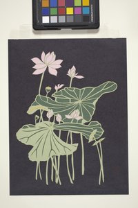 莲花（彩色剪纸） 作者 未知艺术家