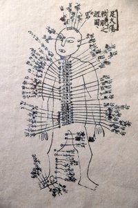 越南传统医学博物馆，通道和血管，针灸之书，胡志明市，越南 作者 不明