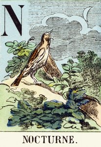N：夜曲-狩猎字母，约1890年（雕刻） 作者 不明