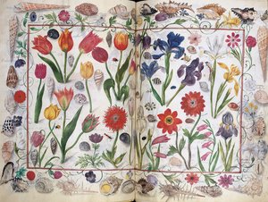 Philipp Hainhofer专辑Amicorum的页面，1596-1633年 作者 不明