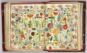 Philipp Hainhofer专辑Amicorum的页面，1596-1633年 作者 不明