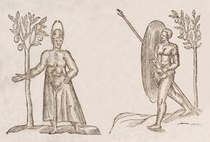 Rex sinus Antongil & Miles sinus Antongil 作者 不明