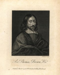 托马斯-布朗爵士，英国多才多艺的科学、医学、宗教和神秘学作家，卒于 1682 年。威廉-理查德的《格兰杰英国传记史插图》中的铜版画，伦敦 作者 未知艺术家