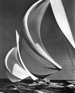 竞赛帆船上的 Spinakers（黑白照片）